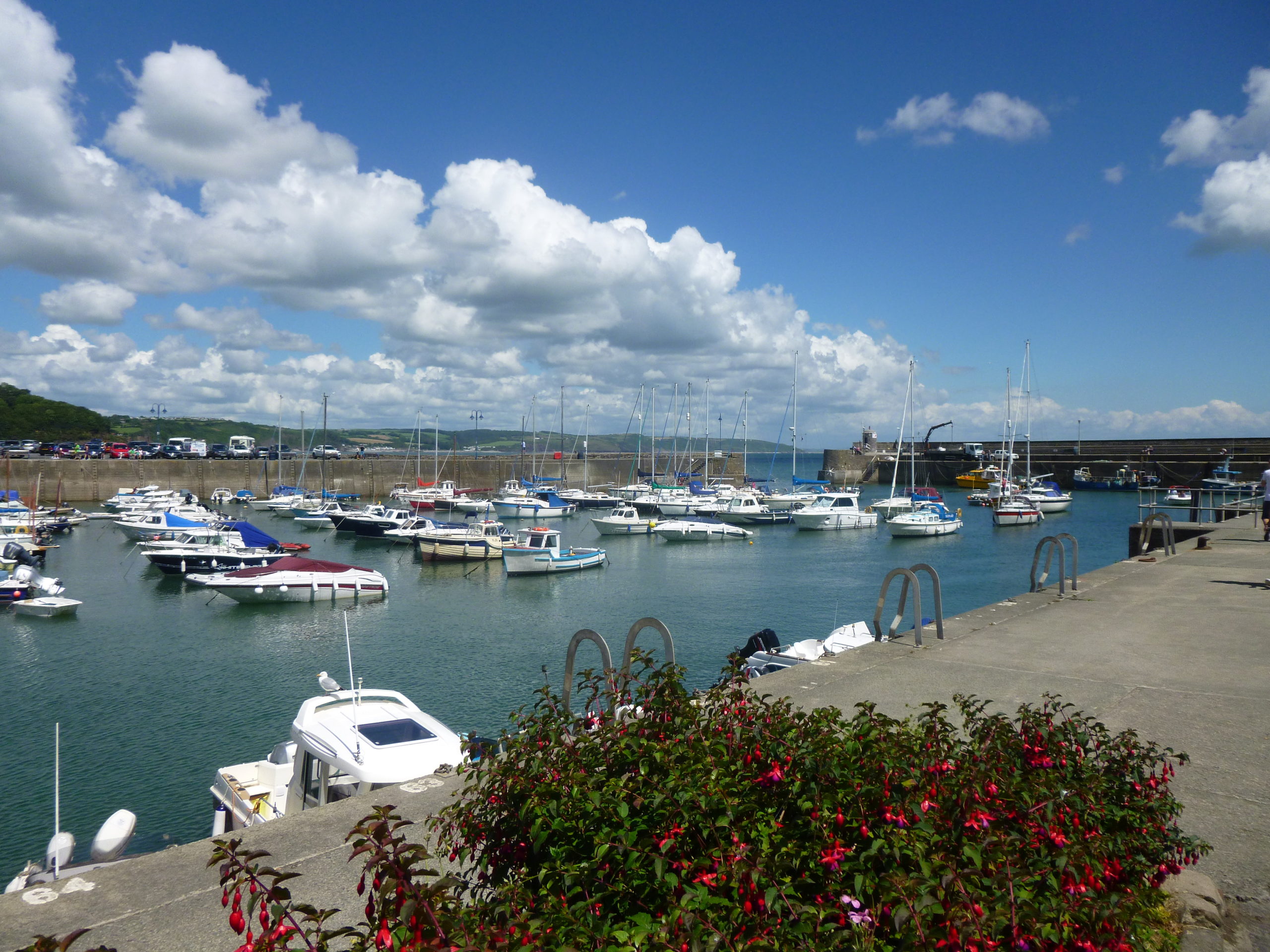 Saundersfoot Harbour