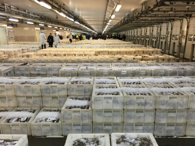 British Ports: Government’s post Brexit fisheries vision is still unclear following Fisheries White Paper; disappointing lack of focus on fishing ports and infrastructure