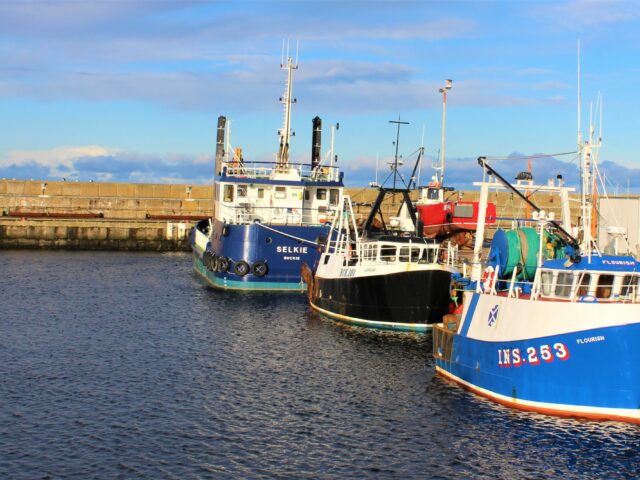 Land all UK fish in the UK, post-Brexit, says BPA