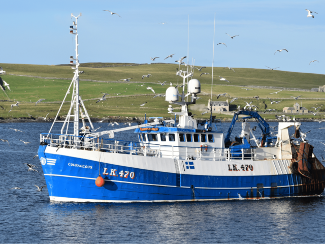 Lerwick: Fishing for Litter