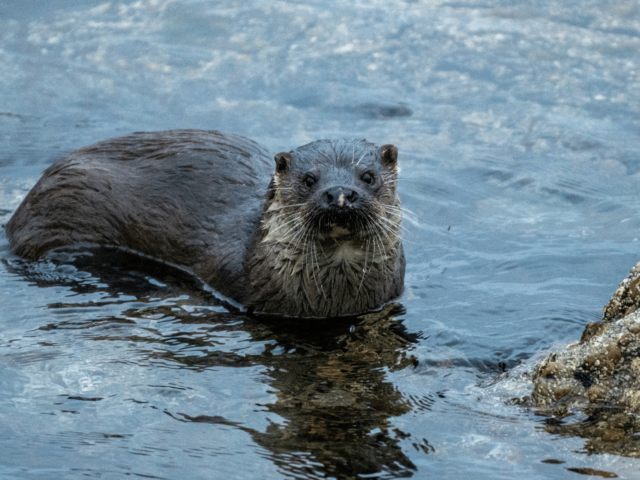 Envirocentre: Minimising Environmental Impact in Stornoway