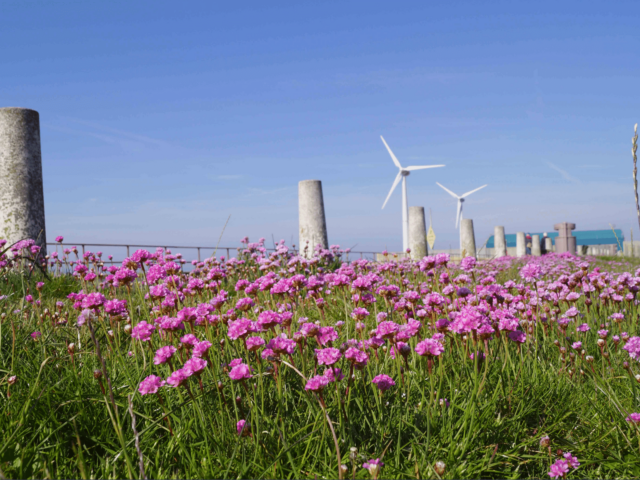 Shoreham’s Biosphere Partnership