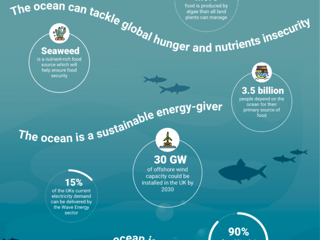 Blog: Oceans for Good