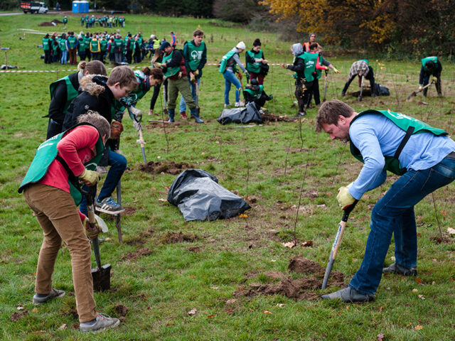 ABP partners with Trees for Cities to plant 21,000 trees across UK regions