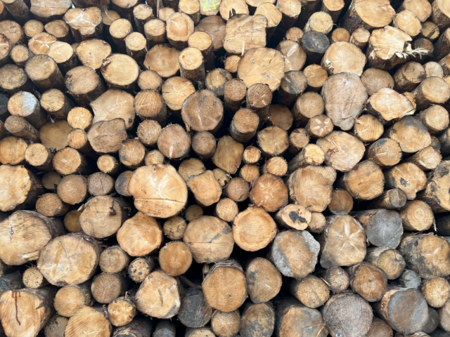 Freight Facilities Grants